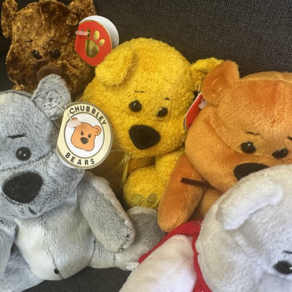 Chubbley Bears x 360 Pcs