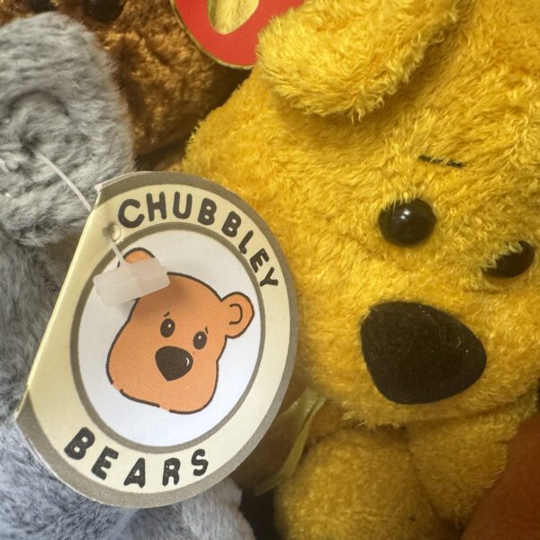 Chubbley Bears x 360 Pcs - Image 2