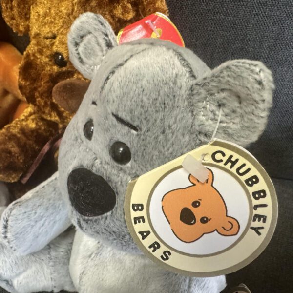 Chubbley Bears x 378 - Image 2