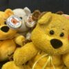 Yellow teddy bears