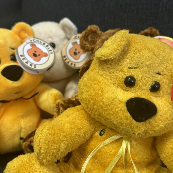 Yellow teddy bears